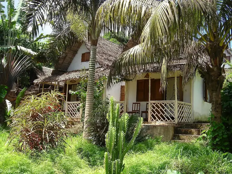 Bungalows blancs au toit de chaume sous les cocotiers