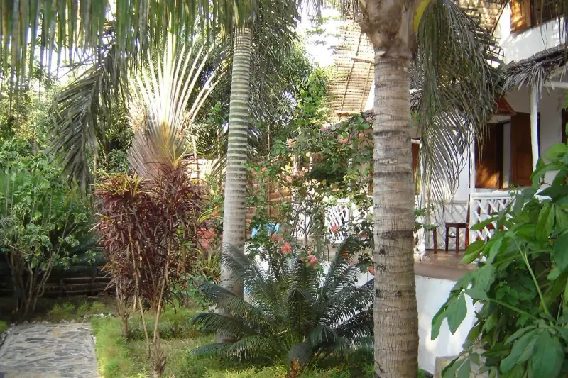 Ravenala et palmiers devant un bungalow blanc
