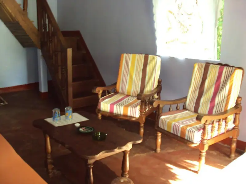 Fauteuils à rayures et table basse dans un salon